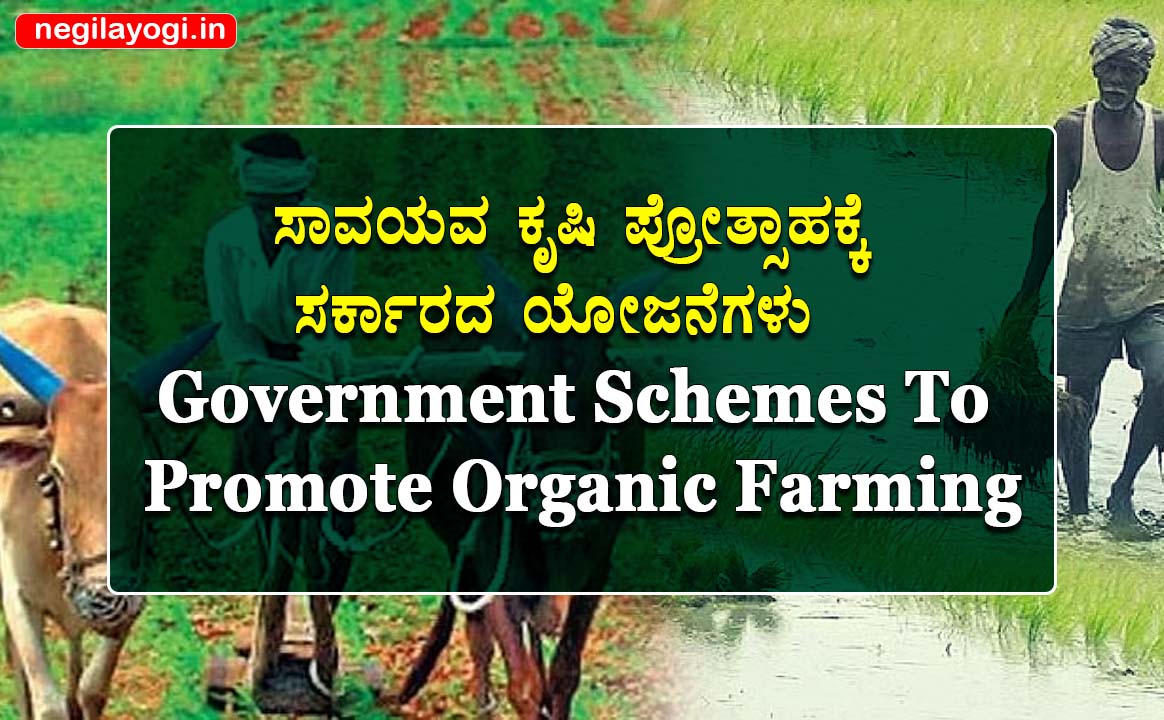 Government Schemes To